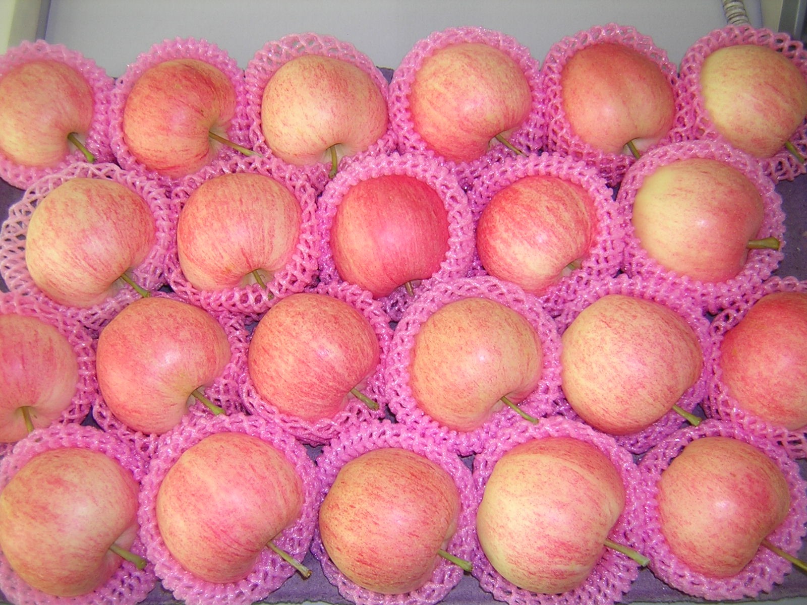 Fresh Apples Red FUJI Green Gold Tasty Apples, Royal Gala Apples, Granny  Smith Fresh Apples Pink Organic Fruits - China Apples, Food